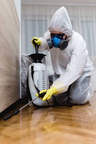 Professional Pest Control in Metamora, IL